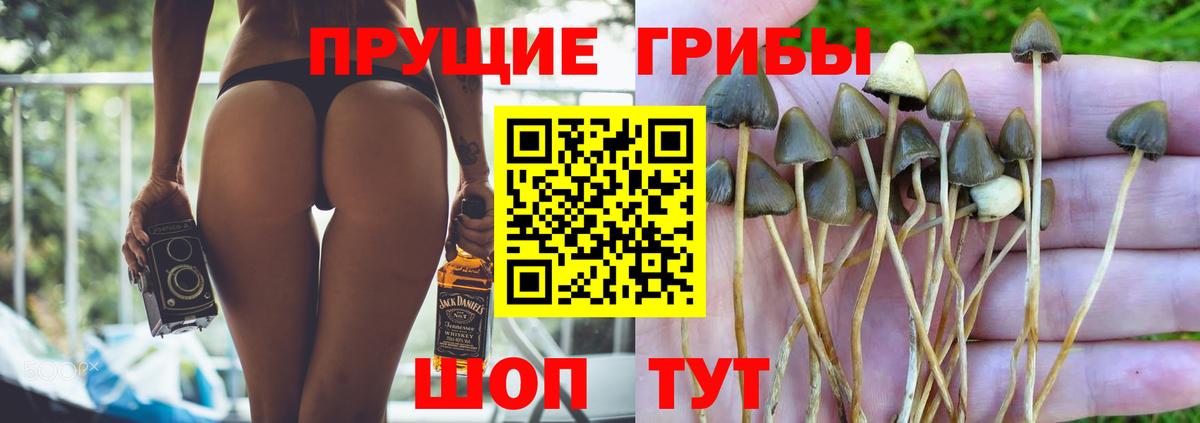 Канабис  ГАШ  Вход с VPN  Меф  Нарткала  COCAIN  Мефедрон   Бошки Шишки  NBOMe 